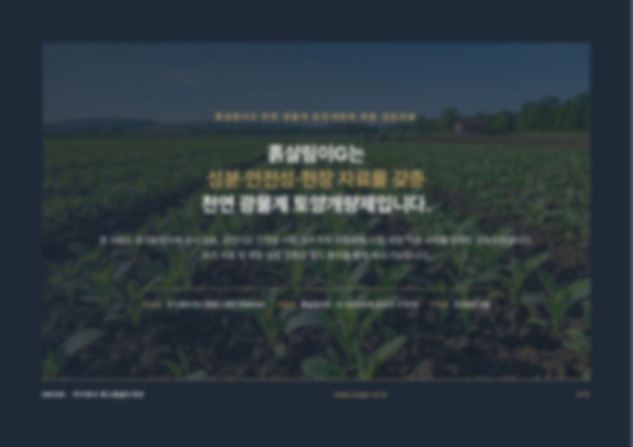 제품 검토·신규 기획 자료 15페이지