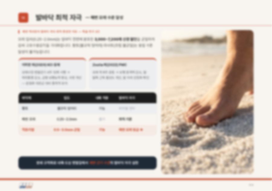 통합 사업 제안서 13페이지
